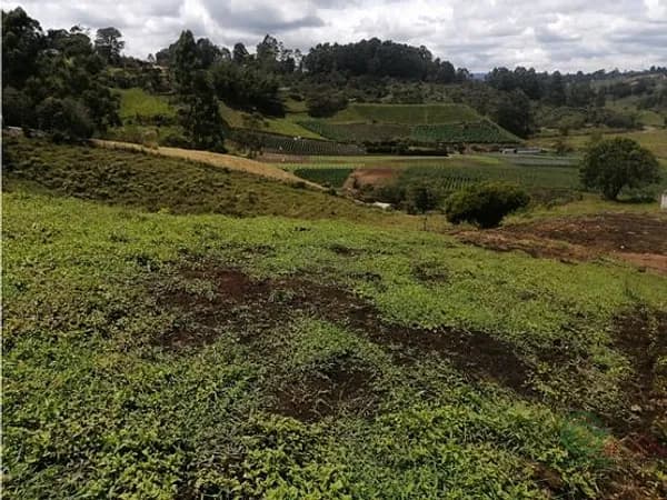 Finca agrícola de 0,3332 ha en venta en Antioquia
