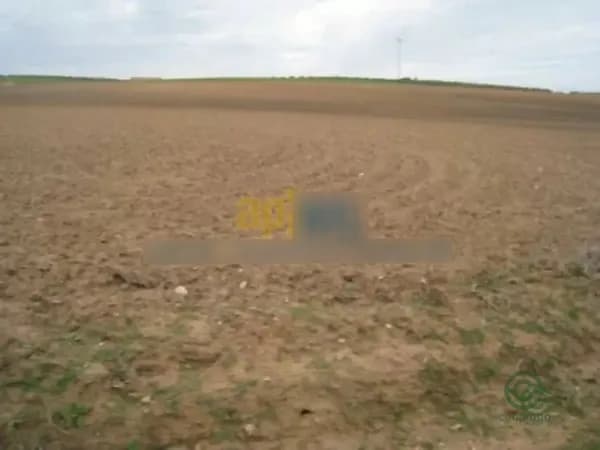 Finca agrícola de 274 ha en venta en Sevilla