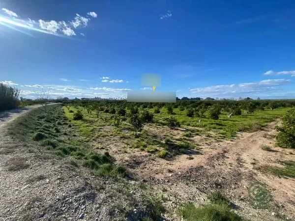 Finca agrícola de 23,68 ha en venta en Polinya de xuquer, Valencia
