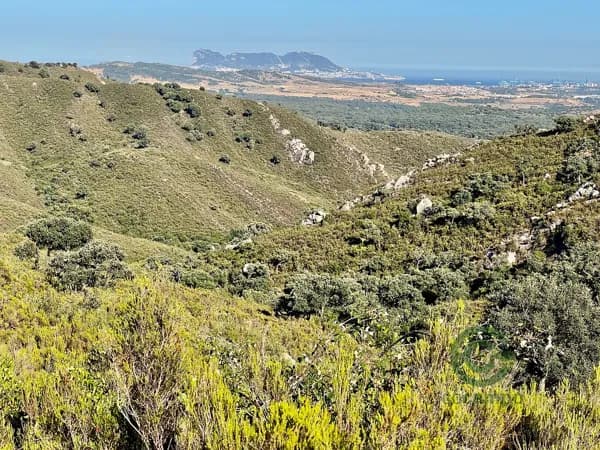 Finca rústica de 302 ha en venta en Cádiz