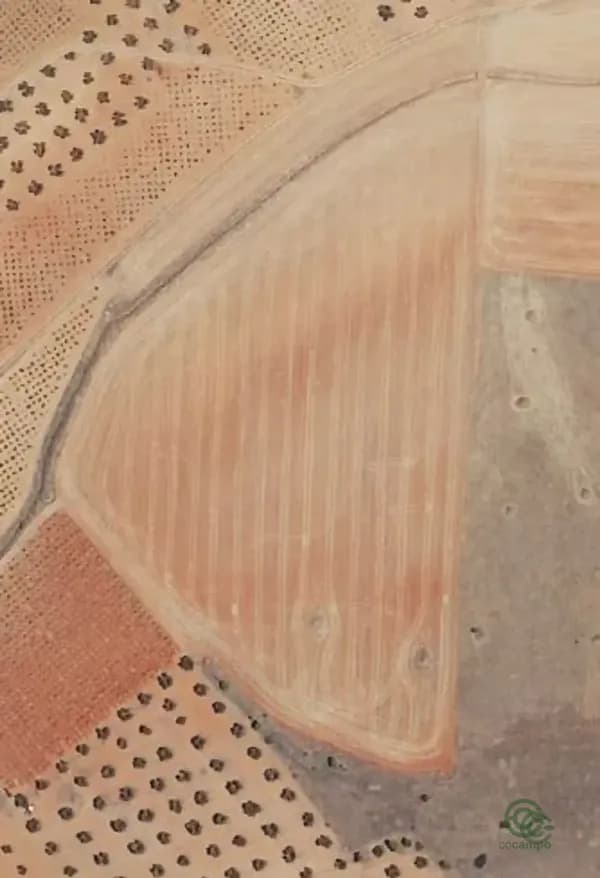 Finca agrícola de 2,7974 ha en venta en Valdepenas, Ciudad real