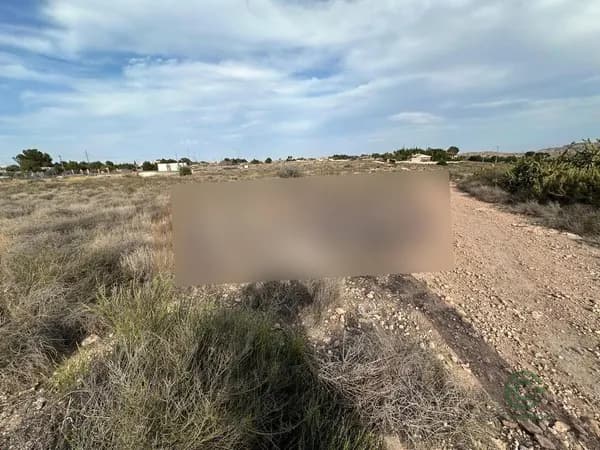 Finca rústica de 1,5 ha en venta en Alicante