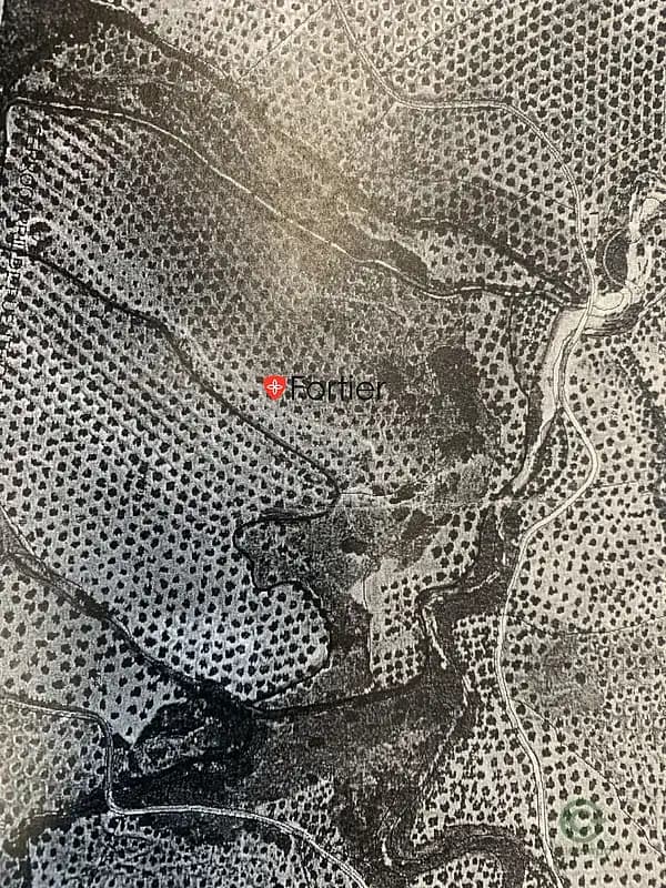 Finca agrícola de 13,37 ha en venta en Martos, Jaen