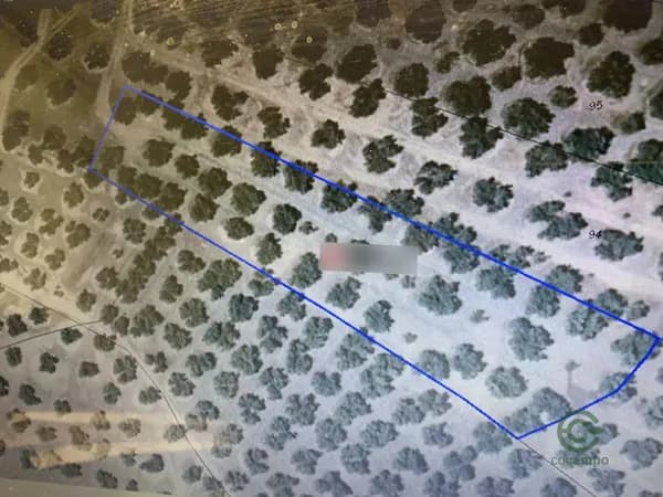 Finca agrícola de 0,45 ha en venta en Martos, Jaen