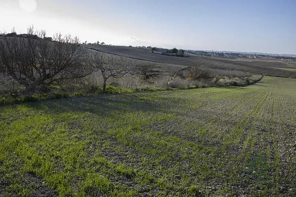 Finca agrícola de 0,2484 ha en venta en Chiclana de la frontera, Cadiz