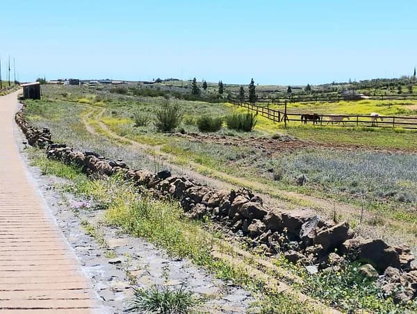Finca agrícola de 0,18 ha en venta en Santa cruz de tenerife