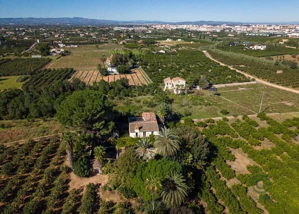 Finca agrícola de 4 ha en venta en Alzira, Valencia