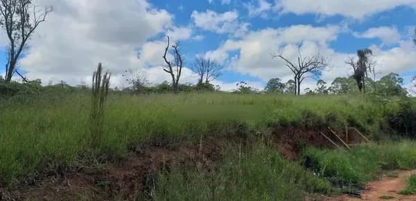 Fazenda rustica de 9054,056 ha para venda em São paulo
