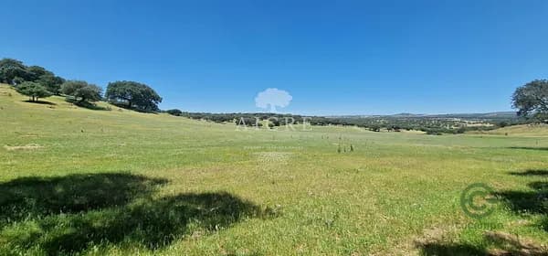 Finca rústica de 124 ha en venta en Elvas, Portalegre