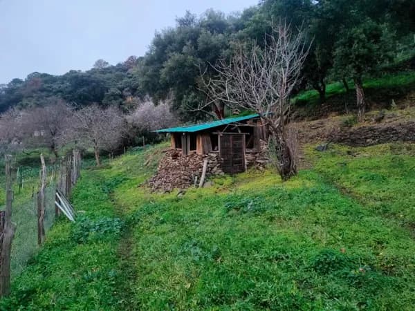 Finca rústica de 2,25 ha en venta en Jubrique, Málaga