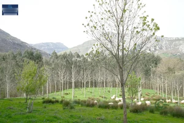 Finca rústica de 1,94 ha en venta en Arredondo, Cantabria