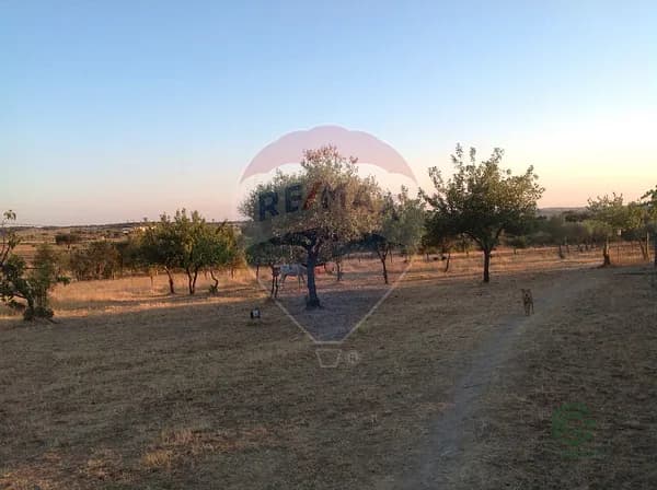 Fazenda rustica de 2225 ha para venda em Castelo branco