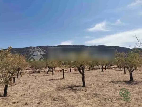 Finca agrícola de 1 ha en venta en Biar, Alicante