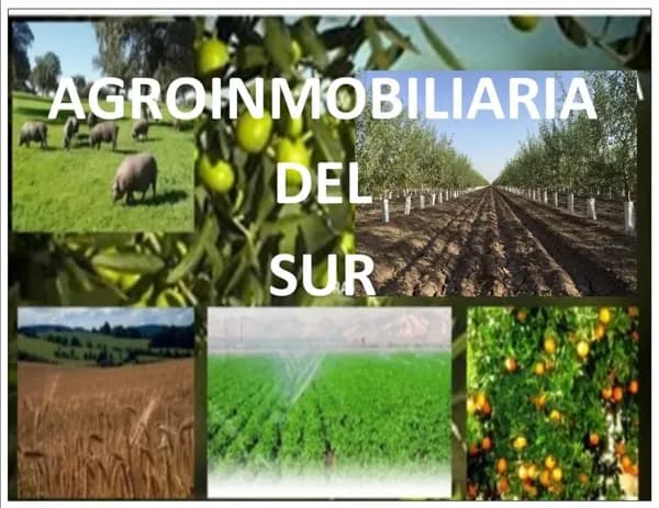 Finca agrícola de 21 ha en venta en Sevilla