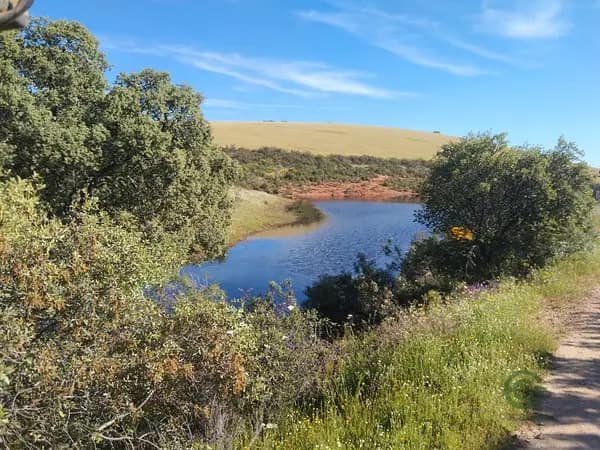 Finca rústica de 500 ha en venta en Córdoba