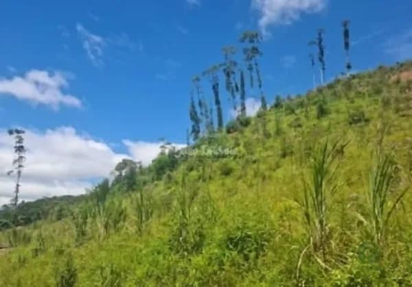 Fazenda agrícola de 4,35 ha para venda em Santa catarina