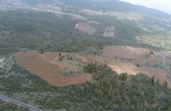 Finca rústica de 20 ha en venta en Tenerife