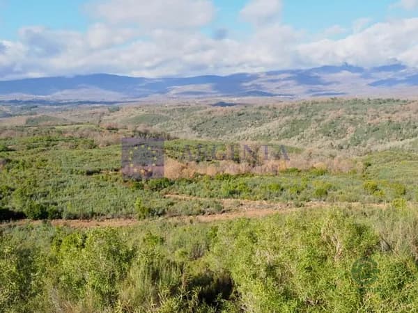 Finca rústica de 400 ha en venta en Cáceres