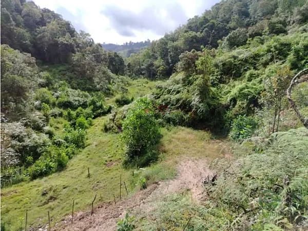 Finca rústica de 0,1 ha en venta en Antioquia