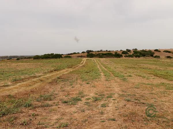 Finca agricola di 33 ha per vendita a Lazio