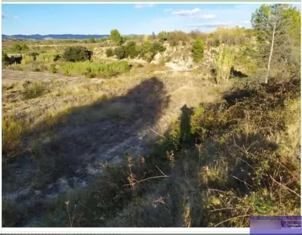 Finca agrícola de 0,25 ha en venta en Beniarjó, Valencia