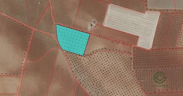 Finca agrícola de 1,36 ha en venta en Membrilla, Ciudad real