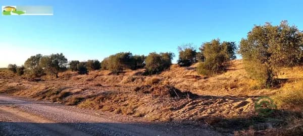 Finca agrícola de 0,52 ha en venta en Puiggros, Lleida