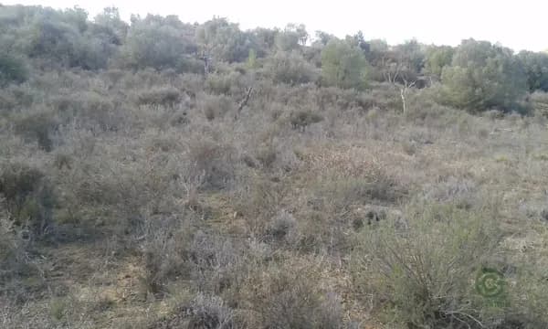 Finca rústica de 1,7 ha en venta en Sarroca de lleida, Lleida