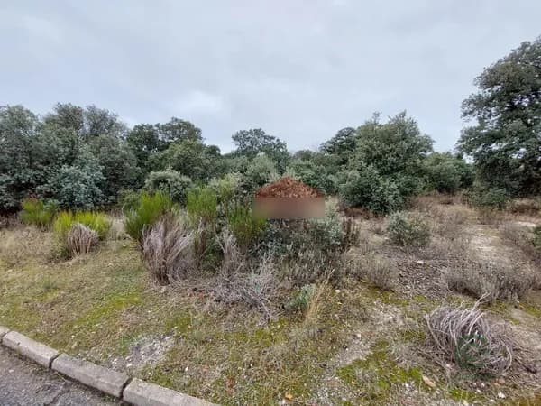 Terreno urbano de 0,3025 ha en venta en Maello, Avila