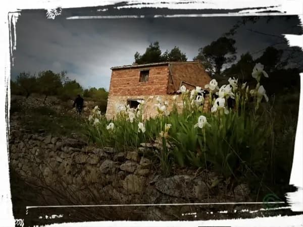 Finca rústica de 7 ha en venta en Tarragona