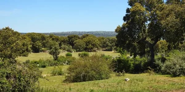Finca rústica de 200 ha en venta en Ávila