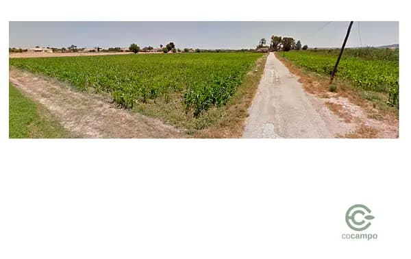 Finca agrícola de 2 ha en venta en Alicante
