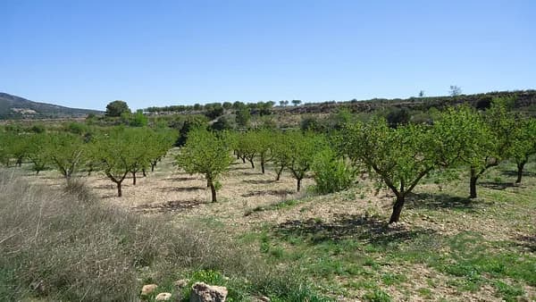 Finca rústica de 0,77 ha en venta en Murcia
