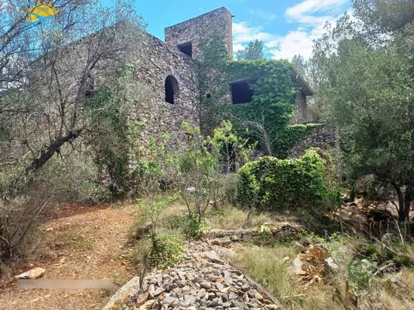 Finca rústica de 1,2 ha en venta en Peñíscola, Castellón