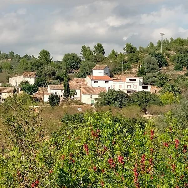 Finca rústica de 3,4 ha en venta en Vall d'alba, Castellon