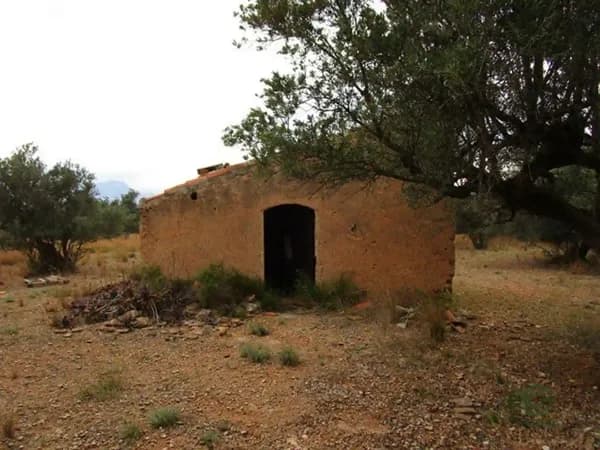 Finca rústica de 1,39 ha en venta en Roquetes, Tarragona