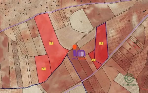 Finca agrícola de 0,003 ha en venta en Alhambra, Ciudad real