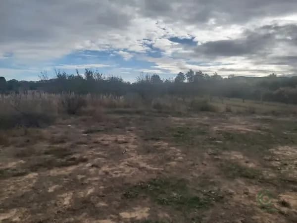 Finca agrícola de 0,8 ha en venta en Castelldans, Lleida