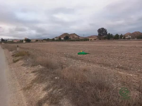 Finca agrícola de 1,5089 ha en venta en Huercal-overa, Almeria