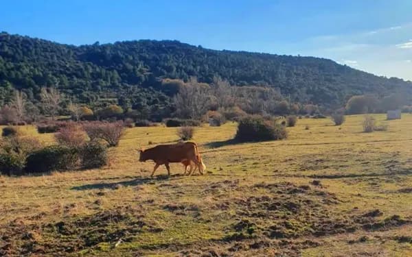 Finca rústica de 100 ha en venta en Madrid
