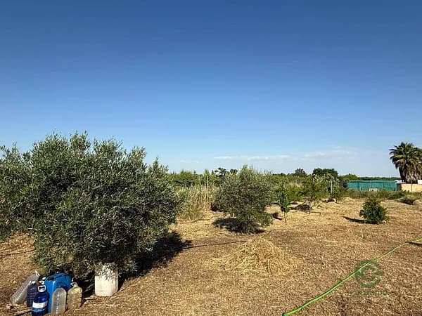 Finca agrícola de 0,2 ha en venta en Gevora del caudillo, Badajoz