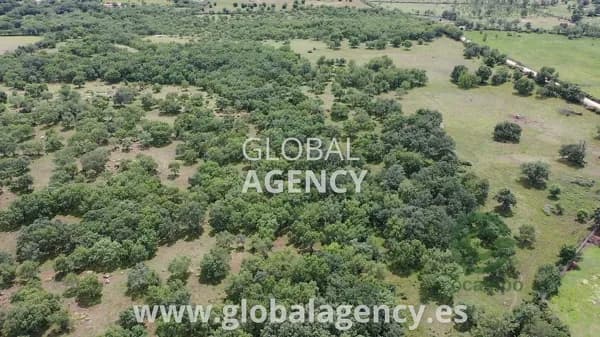 Finca rústica de 30 ha en venta en Madrid