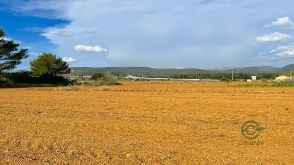 Finca agrícola de 4,11 ha en venta en Sa pobla, Baleares