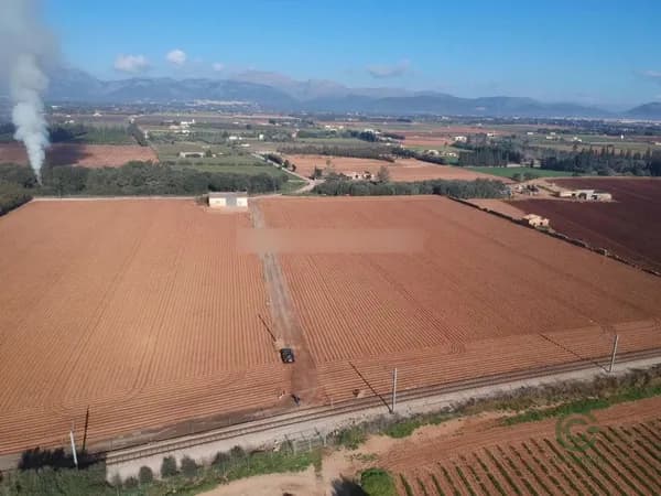 Finca rústica de 4,1979 ha en venta en Llubi, Islas baleares