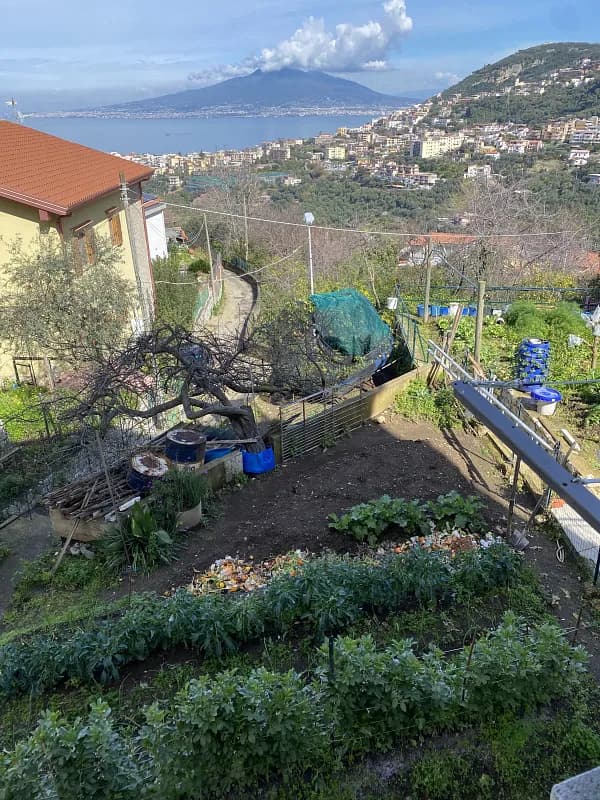 Finca agricola di 0,03 ha per vendita a Campania