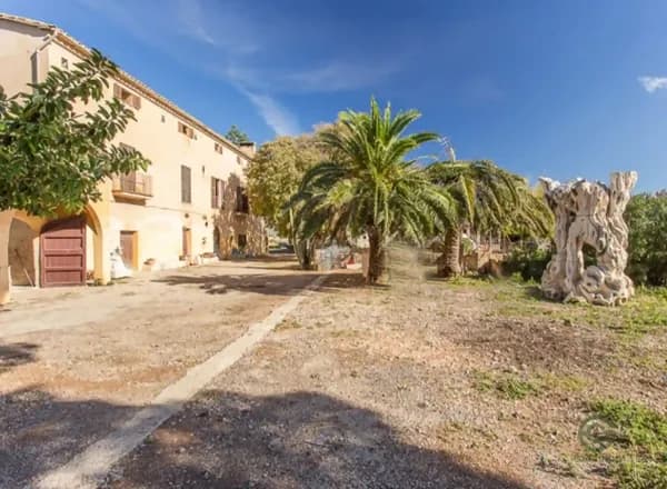 Finca rústica de 6,08 ha en venta en Marratxí, Mallorca