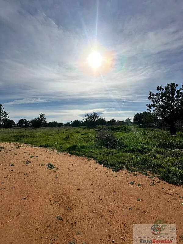 Finca rústica de 0,8355 ha en venta en Quart de poblet, Valencia