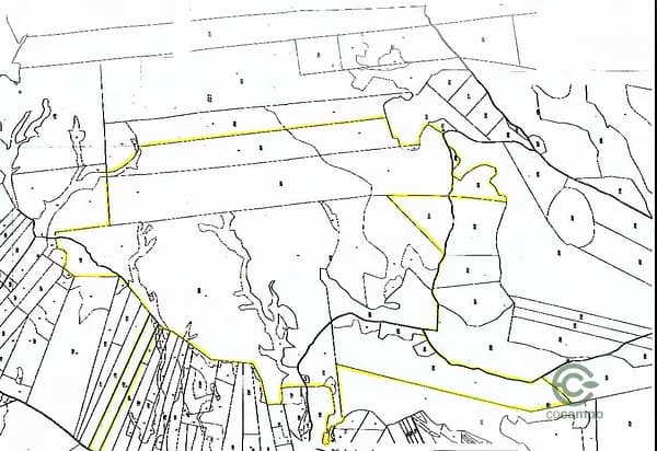 Finca rústica de 183,8248 ha en venta en Tobarra, Albacete