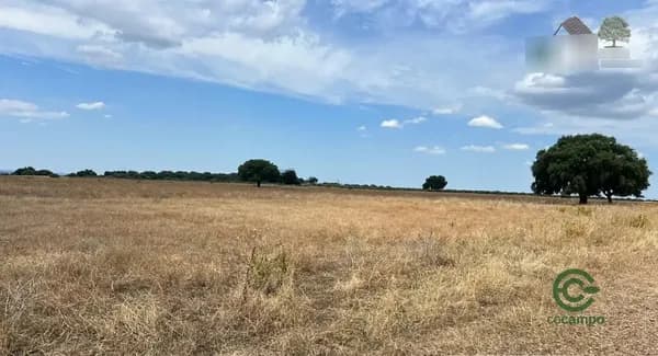 Finca rústica de 23 ha en venta en Cáceres