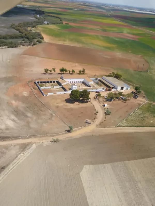 Finca rústica de 550 ha en venta en Toledo